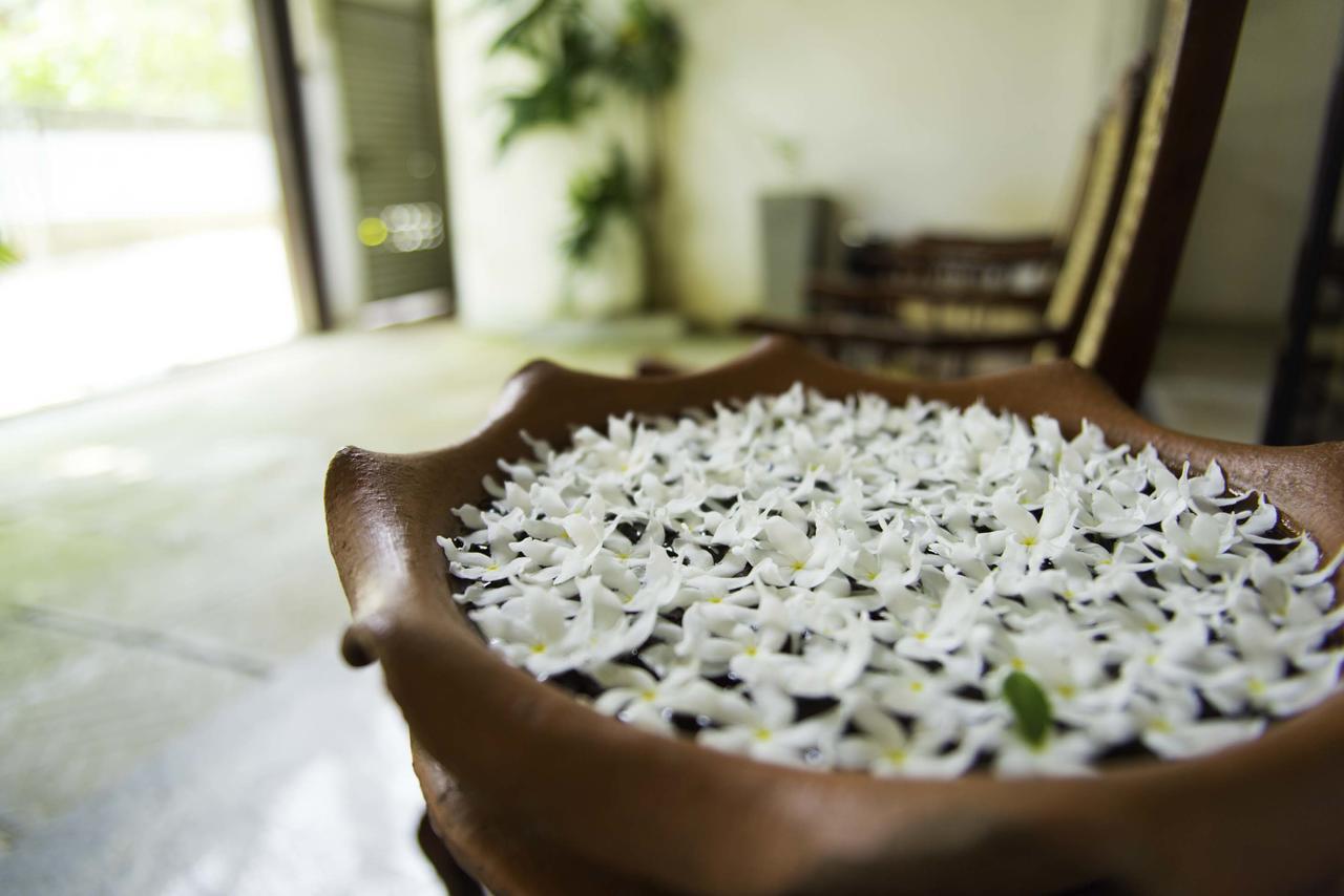 Hotel Sunshine Colombo Buitenkant foto